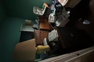 2032 N 18th Ave, Melrose Park, IL 60160 - Photo 3