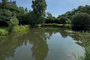 16W122 91st St, Burr Ridge, IL 60527 - Photo 33