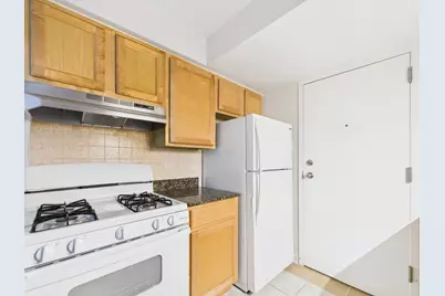 8810 Briar Course #1B, Des Plaines, IL 60016 - Photo 9