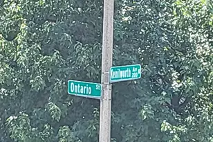 203 N Kenilworth Ave, Oak Park, IL 60302 - Photo 3