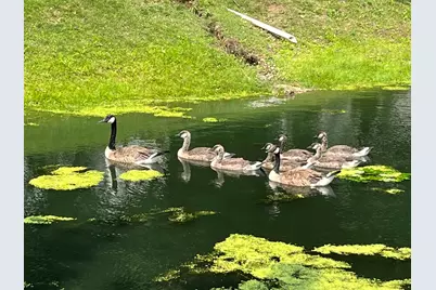 [Address not provided], Wheeling, IL 60090 - Photo 35