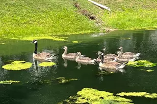 [Address not provided], Wheeling, IL 60090 - Photo 35