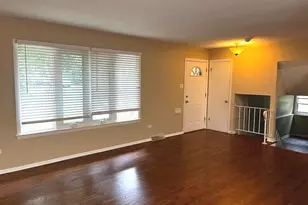 5110 Arquilla Dr, Richton Park, IL 60471 - Photo 3