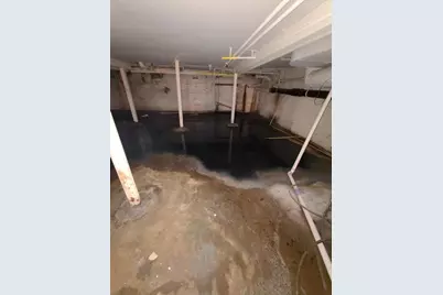 9208 S Cottage Grove Avenue, Chicago, IL 60619 - Photo 11