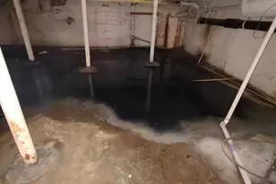 9208 S Cottage Grove Ave, Chicago, IL 60619 - Photo 11