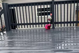 3513 W Beach Ave, Chicago, IL 60651 - Photo 17