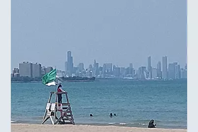 7801 S South Shore Drive, Chicago, IL 60649 - Photo 33