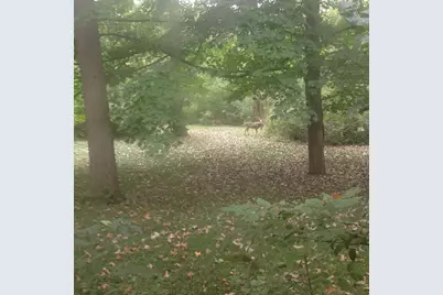 65 Lincolnshire Drive, Lincolnshire, IL 60069 - Photo 3