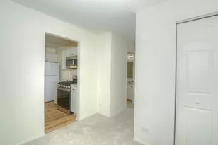 600 Eastveiw Ct, Schaumburg, IL 60193 - Photo 9