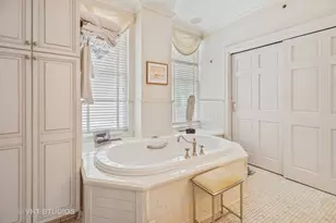 20 E Cedar St, Chicago, IL 60610 - Photo 19