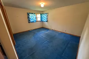 3641 W Beech St, Flossmoor, IL 60422 - Photo 11