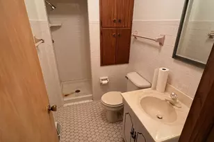 3641 W Beech St, Flossmoor, IL 60422 - Photo 15