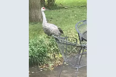 2761 County Road 1700 N, Ogden, IL 61859 - Photo 77