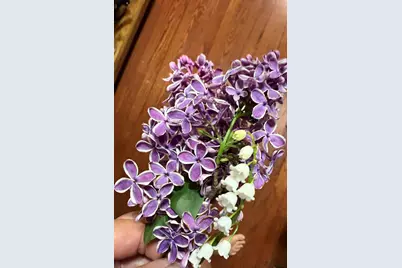 2761 County Road 1700 N, Ogden, IL 61859 - Photo 71