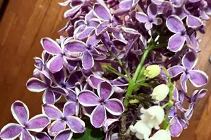 2761 County Rd 1700 N, Ogden, IL 61859 - Photo 71