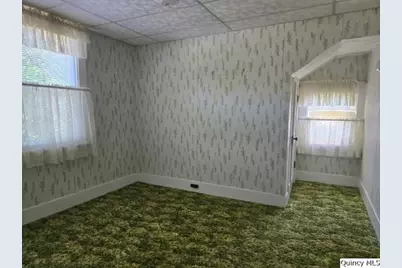 118 S Fayette Street, Carthage, IL 62321 - Photo 19