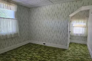 118 S Fayette St, Carthage, IL 62321 - Photo 19