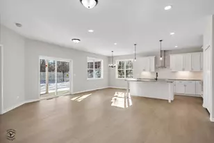 203 Hickory St, Peotone, IL 60468 - Photo 11