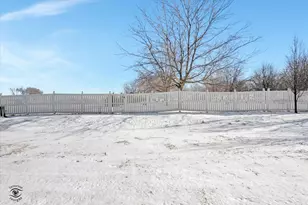 203 Hickory St, Peotone, IL 60468 - Photo 37