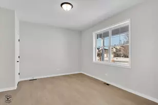 203 Hickory St, Peotone, IL 60468 - Photo 7