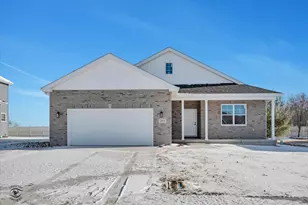 203 Hickory St, Peotone, IL 60468 - Photo 3