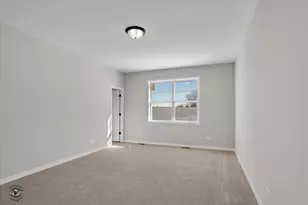 203 Hickory St, Peotone, IL 60468 - Photo 21