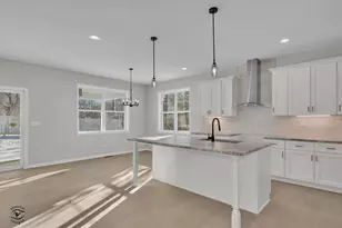 203 Hickory St, Peotone, IL 60468 - Photo 15