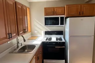 7210 Oak Ave, River Forest, IL 60305 - Photo 7