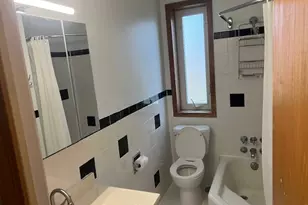 7210 Oak Ave, River Forest, IL 60305 - Photo 11