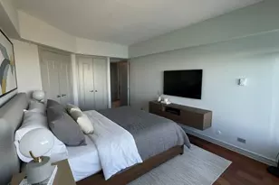 175 E Delaware Pl, Chicago, IL 60611 - Photo 25