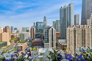 25 E Superior St, Chicago, IL 60611 - Photo 11