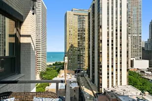 33 E Cedar St, Chicago, IL 60611 - Photo 13