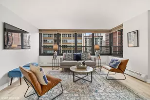 33 E Cedar St, Chicago, IL 60611 - Photo 7