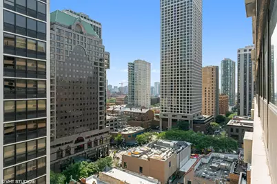 33 E Cedar Street #8H, Chicago, IL 60611 - Photo 15