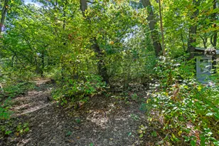 17055 W 145th St, Lockport, IL 60441 - Photo 49
