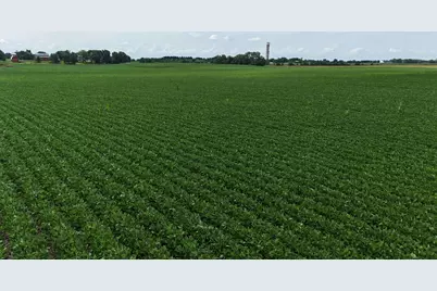 000 Jersey Road, Tampico, IL 61283 - Photo 3