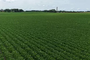 000 Jersey Rd, Tampico, IL 61283 - Photo 3