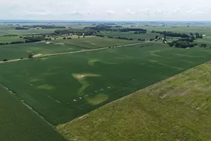 000 Jersey Rd, Tampico, IL 61283 - Photo 9