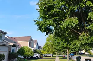 178 W Hampton Dr, Round Lake, IL 60073 - Photo 51