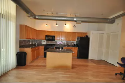 1000 E 53rd Street #117, Chicago, IL 60615 - Photo 11