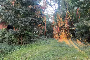 42771 N Delany Rd, Wadsworth, IL 60083 - Photo 13