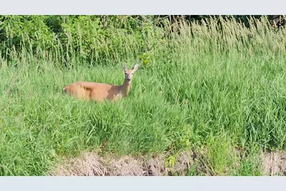 2132 Berkley Court #201A, Naperville, IL 60565 - Photo 19