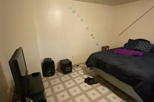 3806 S Wolcott Ave, Chicago, IL 60609 - Photo 5