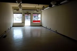 1012 S Western Ave, Chicago, IL 60612 - Photo 13