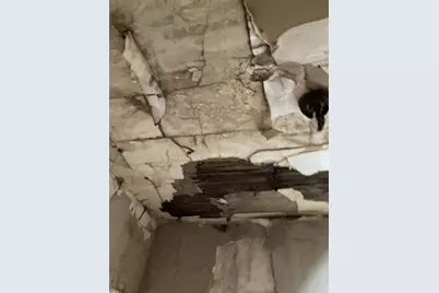 8115 S Rhodes Avenue, Chicago, IL 60619 - Photo 33