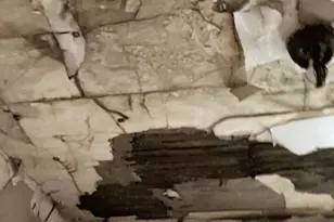 8115 S Rhodes Ave, Chicago, IL 60619 - Photo 33