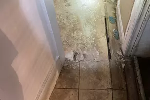 8115 S Rhodes Ave, Chicago, IL 60619 - Photo 31