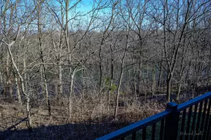 19 Cedar Bluff Ln, Galena, IL 61036 - Photo 15