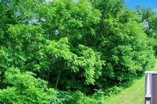 19 Cedar Bluff Ln, Galena, IL 61036 - Photo 29