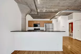 1151 W 14th Pl, Chicago, IL 60608 - Photo 5